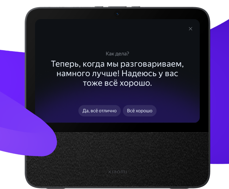Xiaomi Display & Alisa Xiaomi Display & Alisa