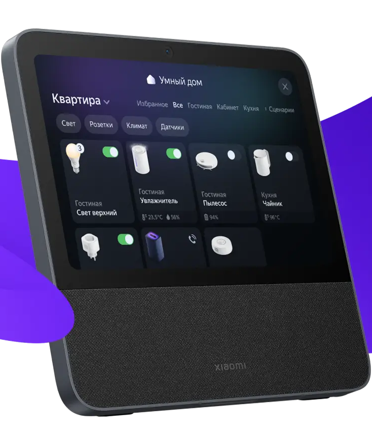 Xiaomi Display & Alisa Xiaomi Display & Alisa
