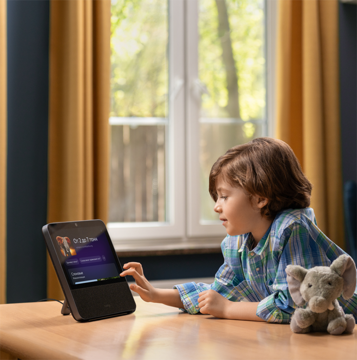 Xiaomi Display & Alisa Xiaomi Display & Alisa