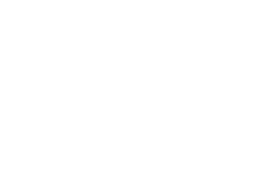 Xiaomi Display & Alisa Xiaomi Display & Alisa