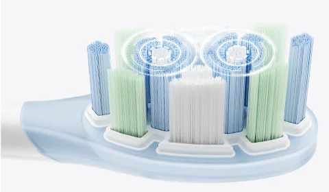 Xiaomi Oscillation Electric Toothbrush