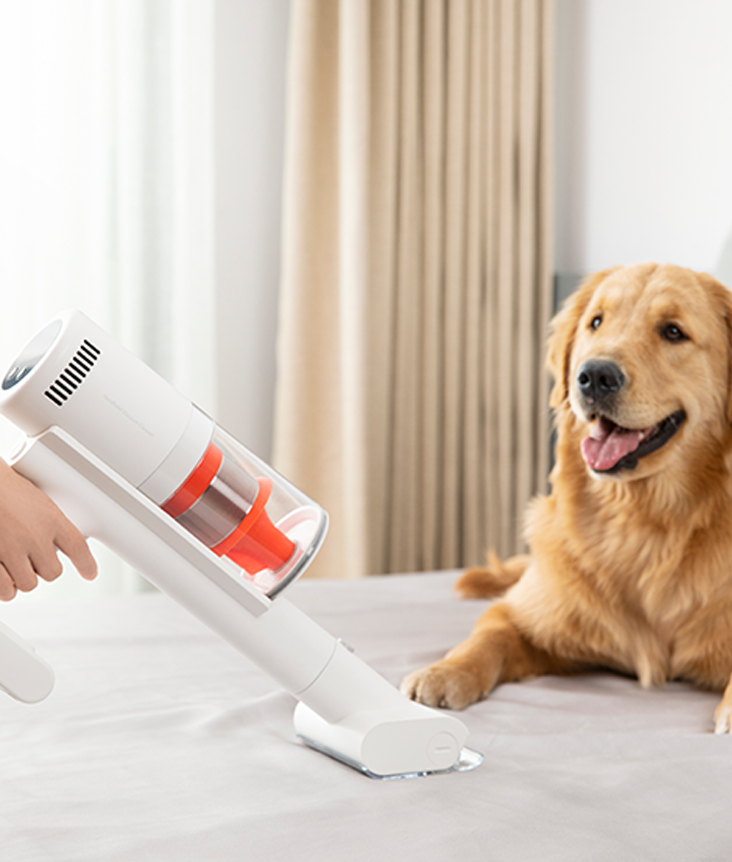 Xiaomi Vacuum Cleaner G11